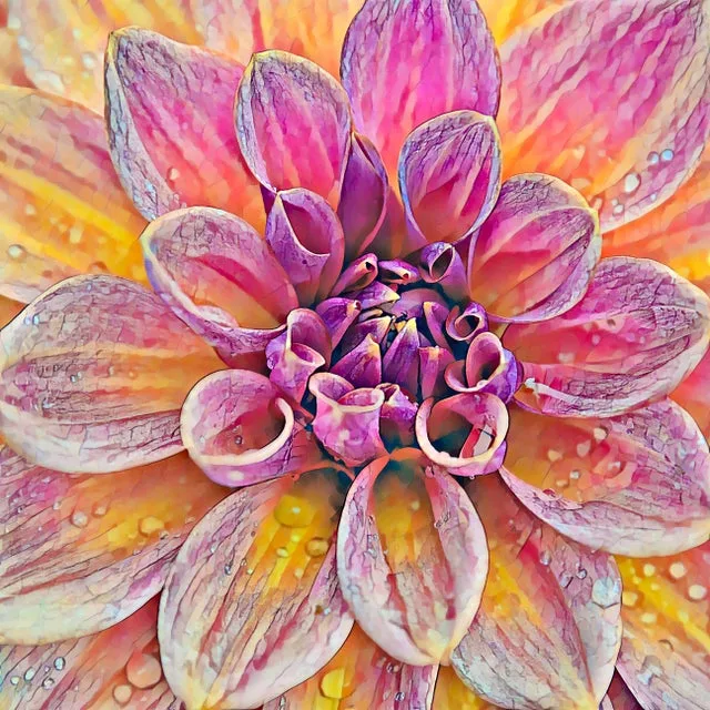 Floral Collection